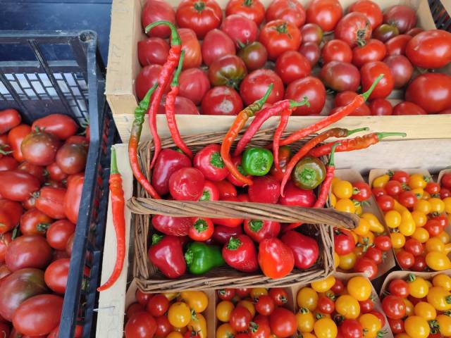 Tomate au kilo