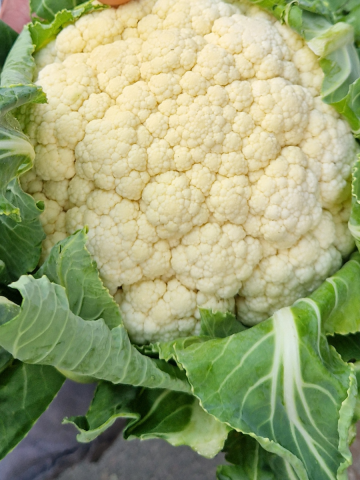 Chou-fleur